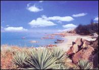 汕尾龜齡島 汕尾龜齡島