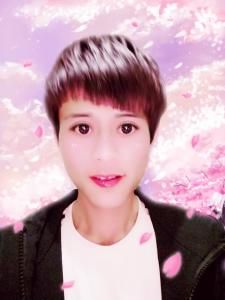 單身狗歌 單身狗歌