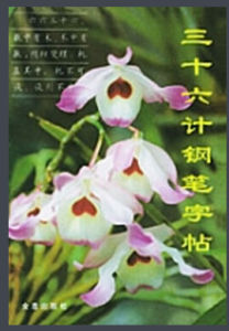 三十六計鋼筆字帖 三十六計鋼筆字帖