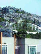 樓頂違章別墅近景