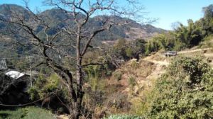 鑽山洞村 鑽山洞村