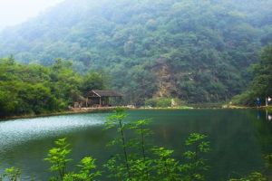 莽河獼猴自然保護區 莽河獼猴自然保護區