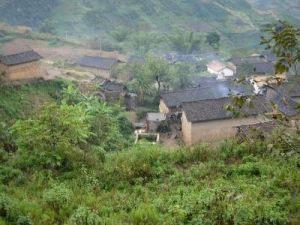 背陰寨村 背陰寨村