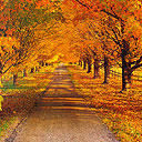 《踏莎行·庚戌中秋後二夕帶湖篆岡小酌》