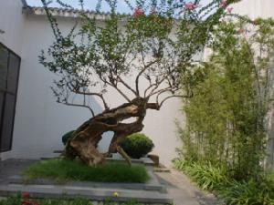 五洲漢唐 五洲漢唐