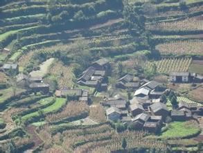 羊棚子自然村 羊棚子自然村