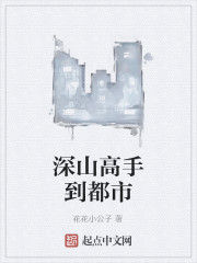 深山高手到都市