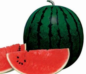 雙抗二號 雙抗二號