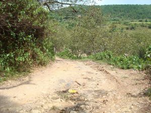 回龍山自然村 回龍山自然村