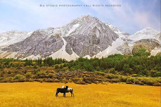 中國秋季旅行時刻表，美哭了全世界，錯過再等一年。