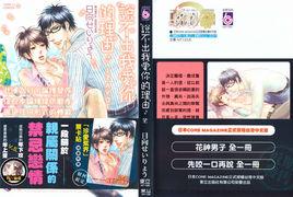 說不出我愛你的理由 說不出我愛你的理由