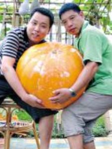 九牛二虎之力 九牛二虎之力