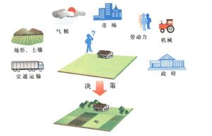 區位選擇 區位選擇