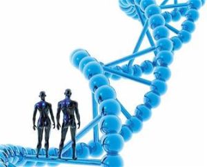 人類基因交流地圖 人類基因交流地圖