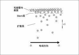 毛細管電泳色譜法 毛細管電泳色譜法