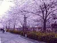 上野公園 上野公園