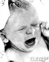 路易絲&middot;布朗