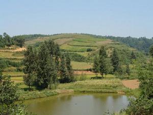 團團河村耕地<a name="ref_[7]"></a>