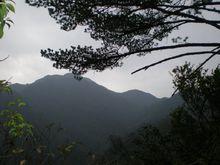 韶關南嶺森林公園