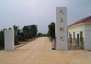 武漢光谷園藝工程有限公司 武漢光谷園藝工程有限公司