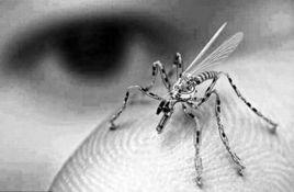 納米無人機 納米無人機