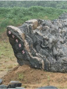 泰山石 泰山石