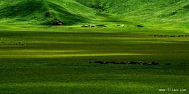 熱爾大壩 熱爾大壩