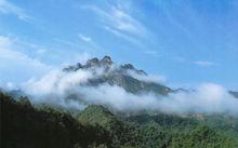 花果山國家森林公園[洛陽]