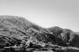 吳起鎮戰役 吳起鎮戰役