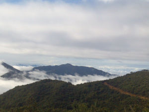 釘頂尾山 釘頂尾山