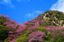 陝西太平國家森林公園