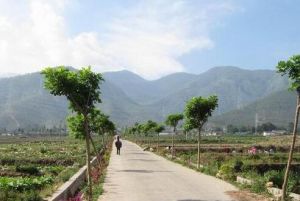 洛古波鄉 洛古波鄉