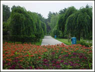 黑龍江省森林植物園