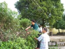 隆回縣桐木橋中學