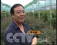 陳金根[麗水市十大創業之星候選人]