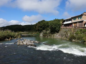 雁溪[溫州市平陽縣南雁鎮雁溪]