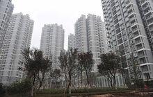 金山街道[重慶市兩江新區金山街道]