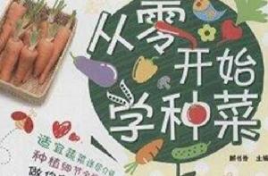 從零開始學種菜 從零開始學種菜