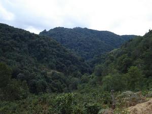 康明自然村-山林資源