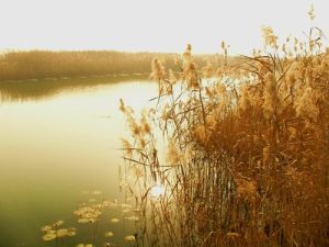 《大雅&middot;公劉》