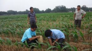 大江窯村 大江窯村