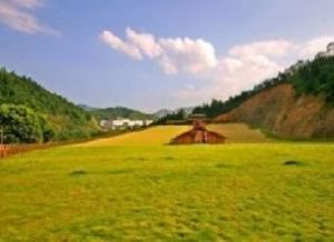 金沙灘滑草場 金沙灘滑草場