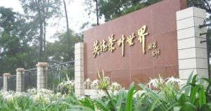 清遠英德茶葉世界 清遠英德茶葉世界