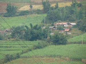 甘蔗基地自然村 甘蔗基地自然村
