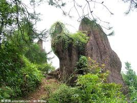 駱駝石[甘肅省蘭州市駱駝石]
