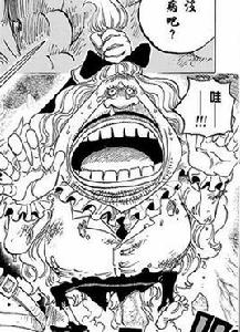 鳥奴[日本漫畫《海賊王》中的角色]