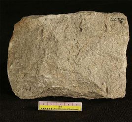 石英砂岩 石英砂岩