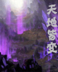 天地皆變 天地皆變