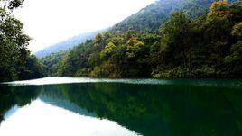 王子山森林公園 王子山森林公園