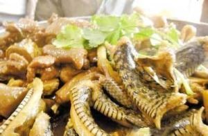 菊花燴三蛇 菊花燴三蛇